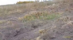 Прогулка на Железном Коне, на поиски металла.