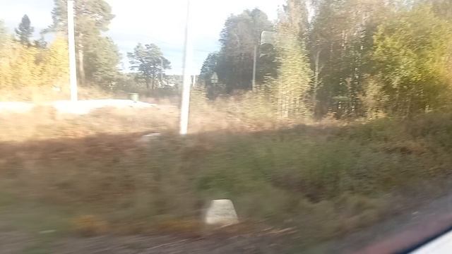 от кузнечное смотреть онлайн