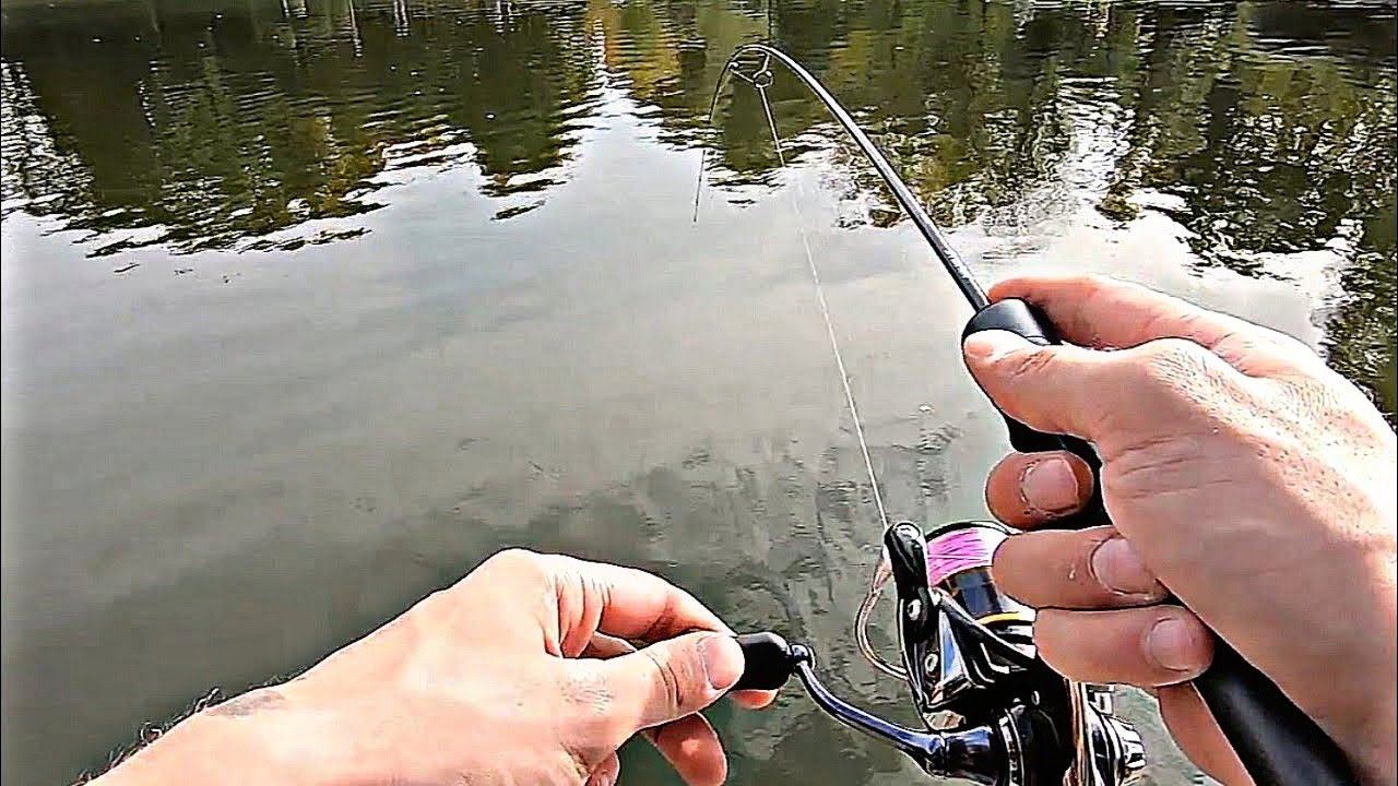 МикроЩучий Движ!!! ANT В ДУГУ!!!!#мормышинг#наноджиг#рыбалка смотреть онлайн