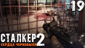 ДИКИЙ ОСТРОВ (19) ► S.T.A.L.K.E.R. 2 Сердце Чернобыля