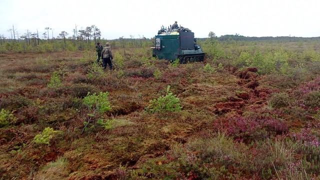 Балота Ханты-Мансийска
