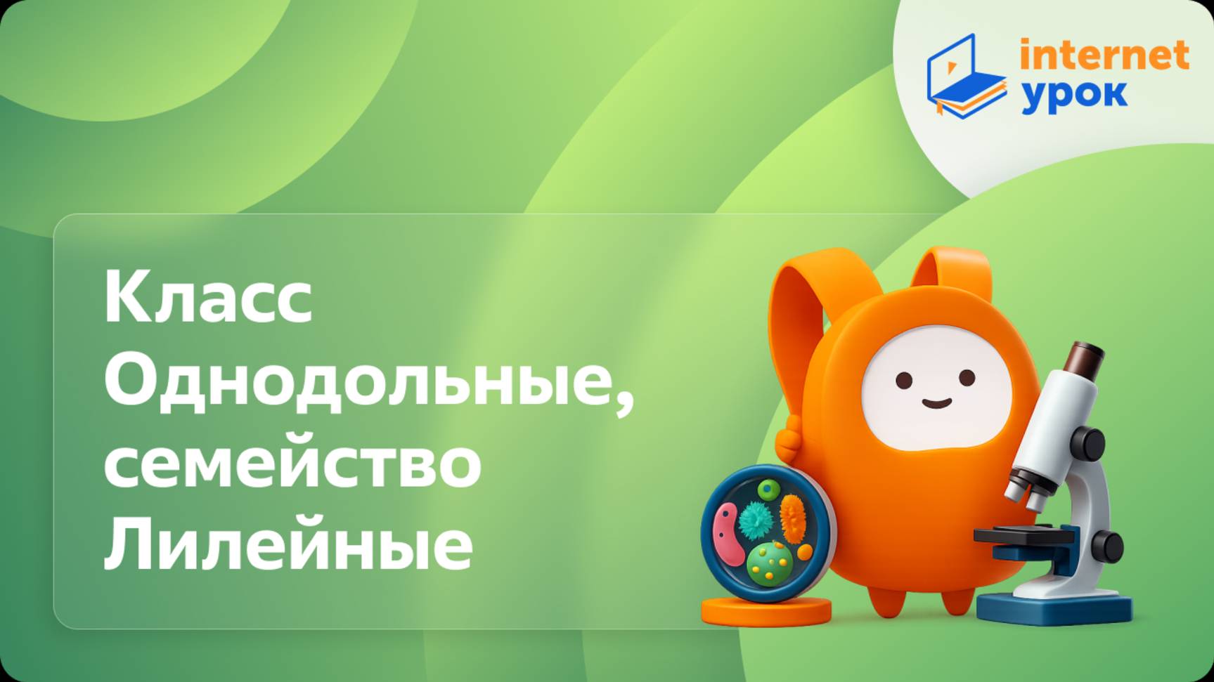 Биология 6 класс. Класс Однодольные, семейство Лилейные смотреть онлайн