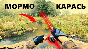 Осенний КАРАСЬ на лесном ручье. МОРМЫШИНГ