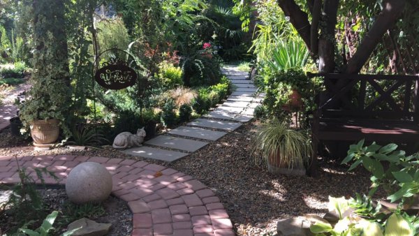 Прогулка по южному саду в сентябре. Новинки и потери в саду.