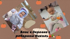 Влог из деревни с реборном Николь🍁🏡
