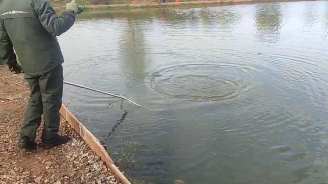 WhatsApp Video 2025-09-29 at 10.02.18 смотреть онлайн