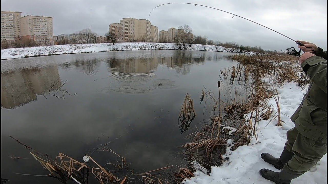 Зимний Выезд-"Трофей Корчей"#мормышинг #мормоны #наноджиг смотреть онлайн