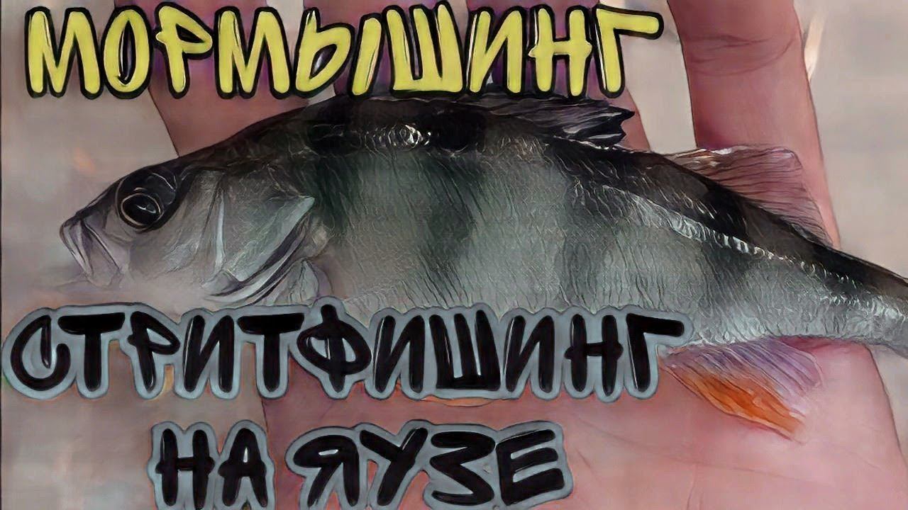 МОРМЫШИНГ НА ЯУЗЕ.#мормышинг #мормоны #мормышка #окунь#рыбалка смотреть онлайн