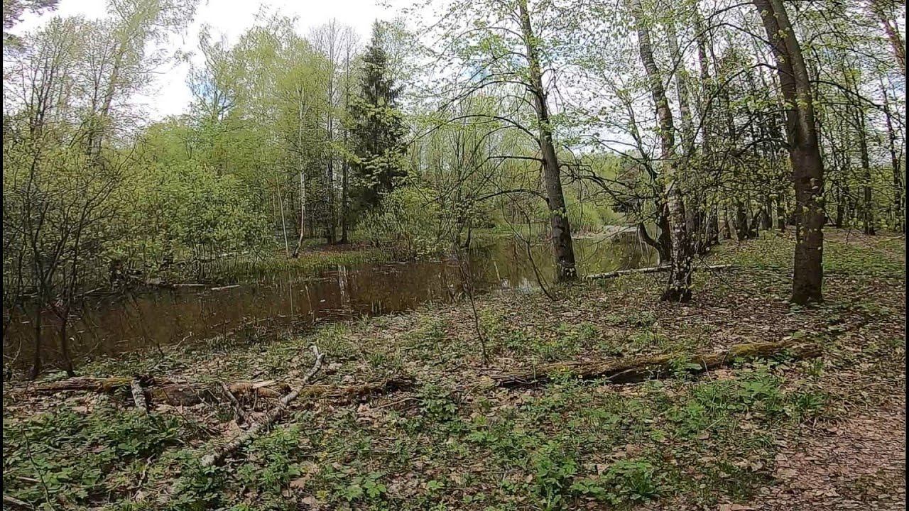 Ловля Ротана В "Лесной Глуши"Весной. смотреть онлайн