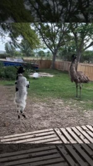 Я тоже так могу 🧐😊😉