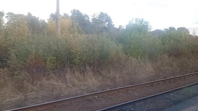 10856.mp4 смотреть онлайн