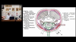 Фасции шеи по Шевкуненко. Ахмадудинов А.М.