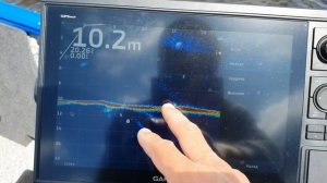 настройка Panoptix LV34