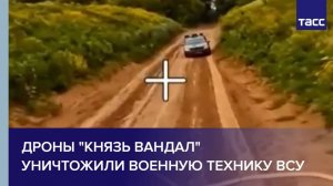 Дроны "Князь Вандал" уничтожили военную технику ВСУ
