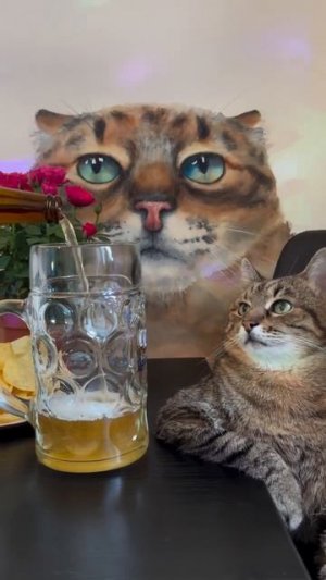 Котовое. Выходновое