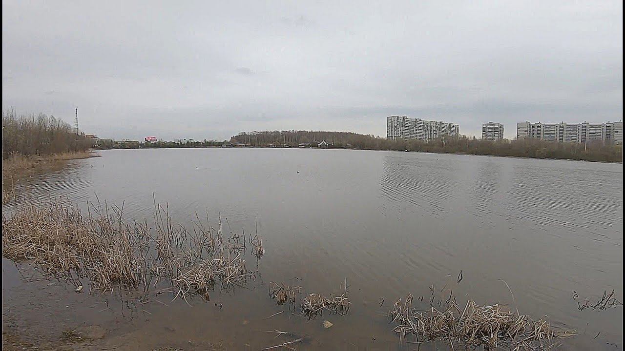 На Пруды в Поисках Карася.Вода Холодная. Карась Пока Молчит. смотреть онлайн