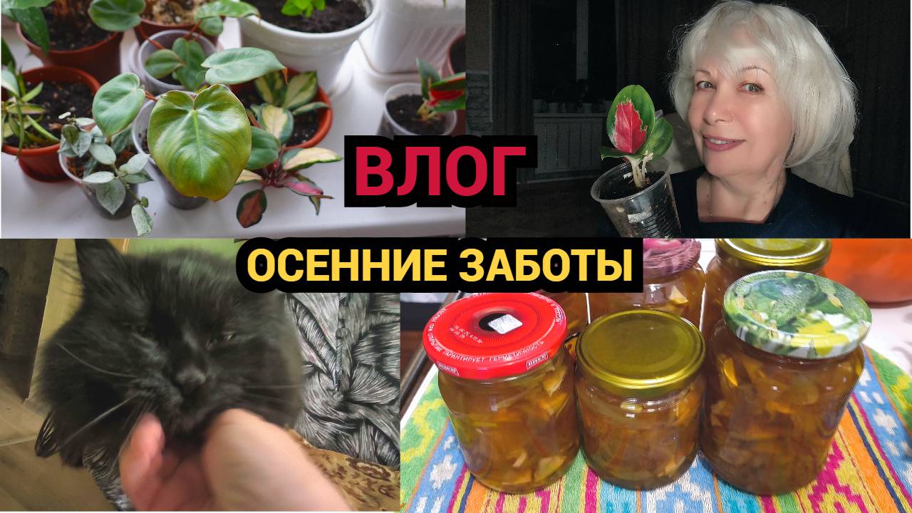 ✅ ВЛОГ/Хотела янтарное, не получилось/Убираю хризантемы из сада /Осенние заботы смотреть онлайн