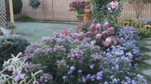 30-09-2025 Мороз минус 5 в  6 часов утра. Ивановская область.