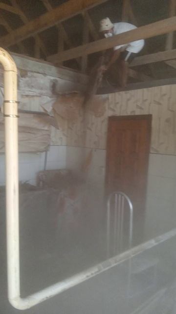 предпоследнее видео шабашки.