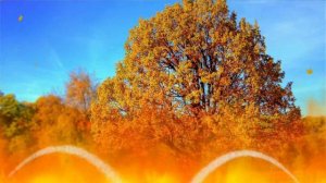 ФУТАЖ  ОСЕННИЙ  ПОЖАР