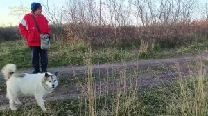 Воркута. 28.09.25. Чебуречка, тундра Тиман, карусель!