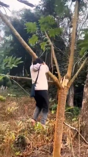 Подборка приколов, падений и смешных ситуаций!!!