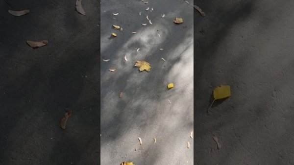 30-09-2025 Лачетти