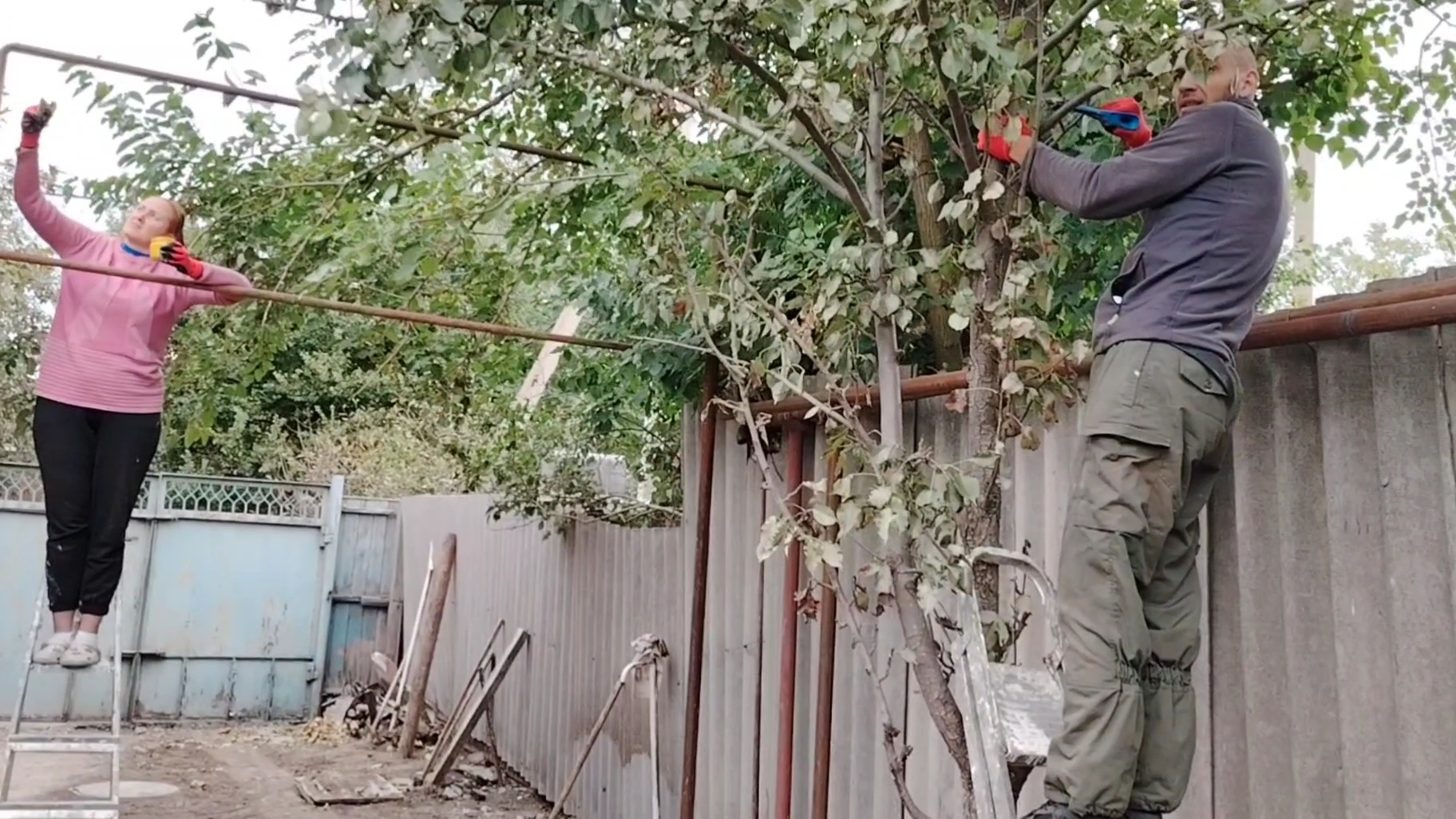 Ейск ! Подпиливаем все деревья во дворе, окраска газовых труб, работы двух дней 30-09-2025. смотреть онлайн