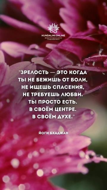 #мудрость Йоги Бхаджана смотреть онлайн