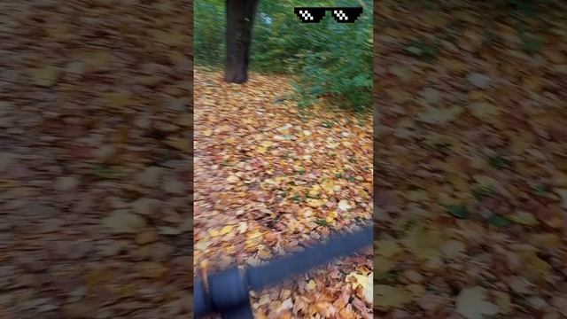 ГУЛЯЕМ). НА УЛИЦЕ ⚽ ЧАСТЬ 1 смотреть онлайн