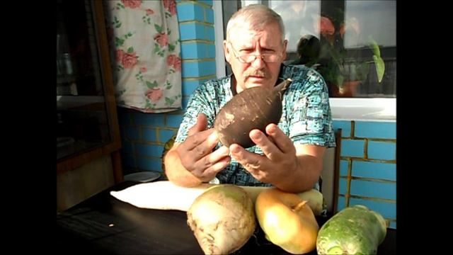 Редька сорт ЗИМНЯЯ ЧЕРНАЯ