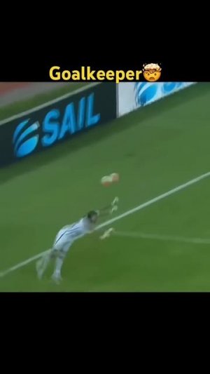 Виртуозы  на  воротах !!!