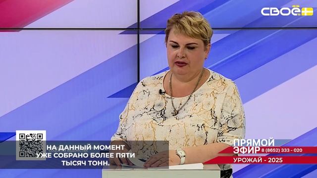 В Ставропольском крае прогнозируемый урожай винограда составит 38 тысяч тонн