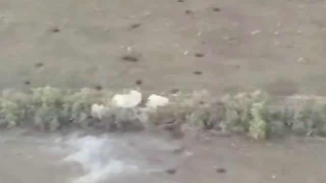 Артиллерия против пехоты. Кстати видео филосовское. смотреть онлайн