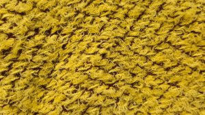 Вивинг на вязальной машине Бразер