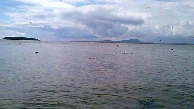 CAM01342 смотреть онлайн