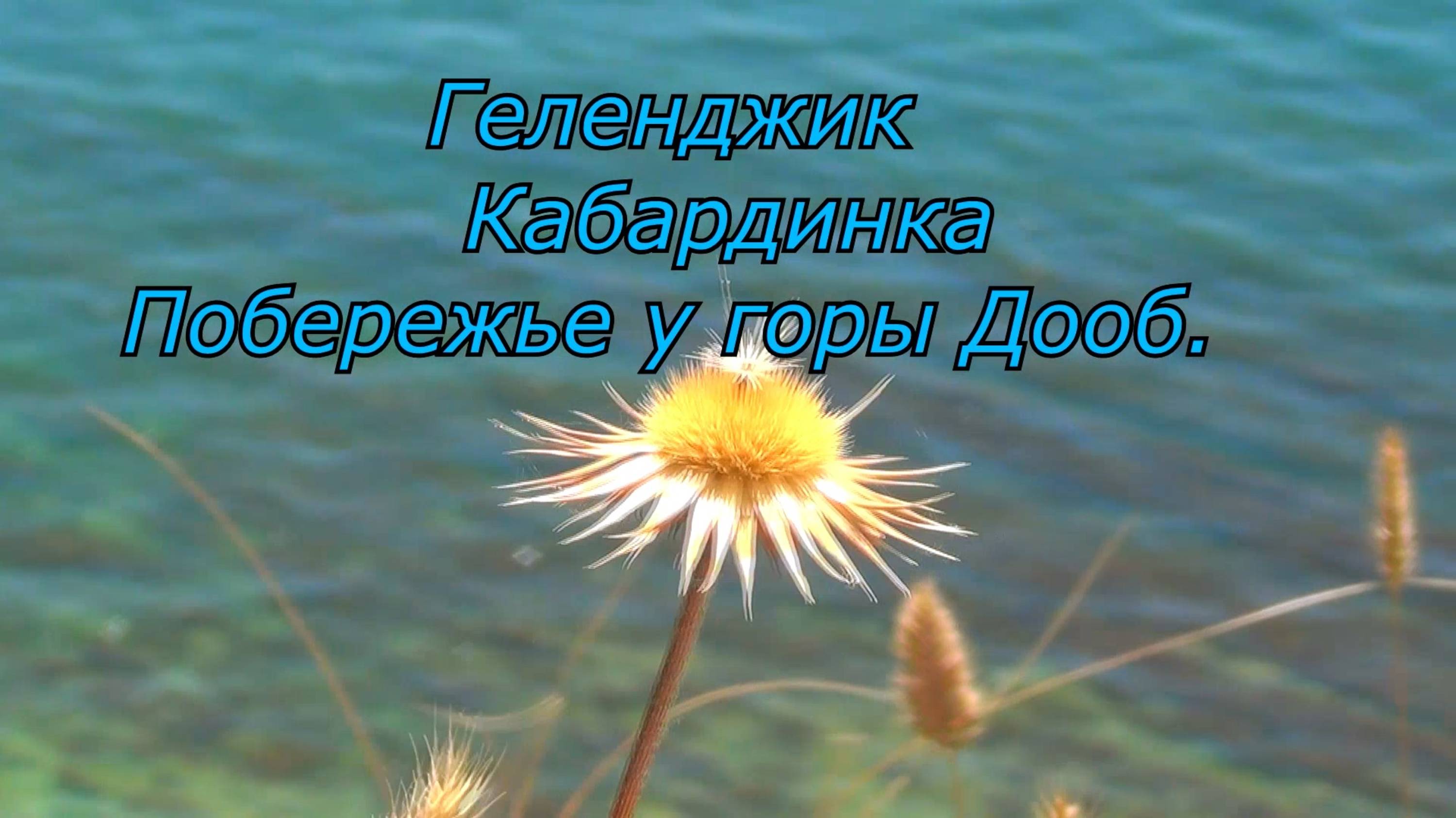 Жаркие щели мыса Дооб. Маршруты Геленджика. смотреть онлайн