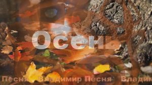 Владимир Песня....Осень...Какая осень за окном!