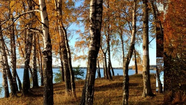 ОСЕННИЙ СЕНЕЖ смотреть онлайн