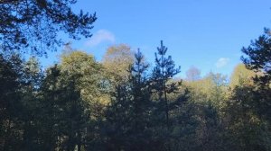 Более года назад ушёл из работы по найму в организации