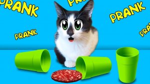 СМЕШНЫЕ ПРИКОЛЫ НАД КОТАМИ! [2018]
