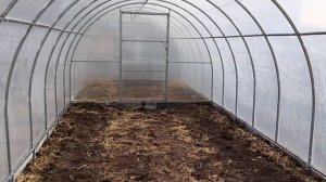 Не всегда правильно делаем. Мне понравилось