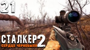 ЗАТОН (21) ► S.T.A.L.K.E.R. 2 Сердце Чернобыля