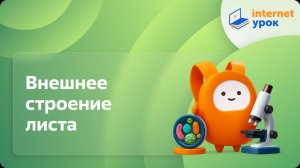 Биология 6 класс. Внешнее строение листа