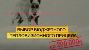 Хотите сэкономить на покупке тепловизора и при этом НЕ потерять в качестве?