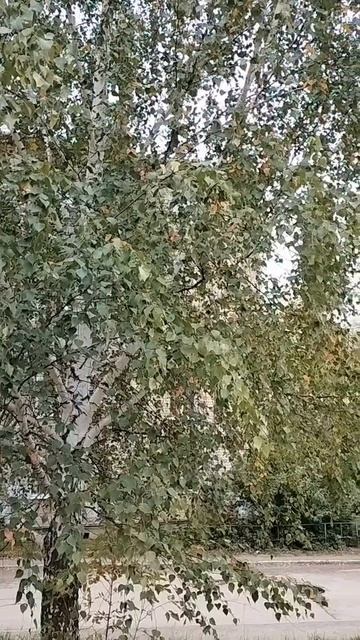 Тренировка