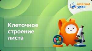 Биология 6 класс. Клеточное строение листа