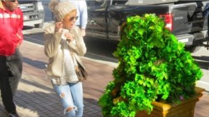 FUNNY BUSHMAN VIDEO AT SUPER BOWL LIII