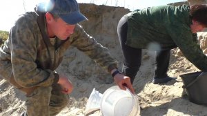 КУДА УХОДЯТ ГРИБЫ!? Что с ними делать и КАК ХРОНИТЬ! Навели порядок в подвале