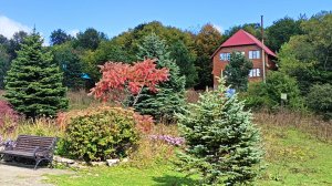 СТАРОСТЬ МЕНЯ ДОМА НЕ ЗАСТАНЕТ: Я В ДОРОГЕ, Я В ПУТИ!